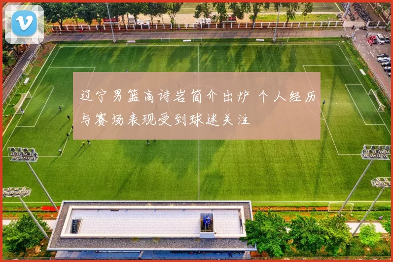 辽宁男篮高诗岩简介出炉 个人经历与赛场表现受到球迷关注