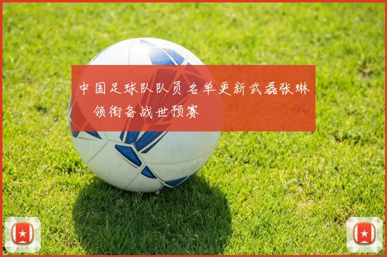 中国足球队队员名单更新武磊张琳芃领衔备战世预赛