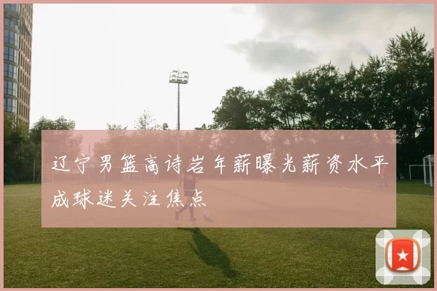 辽宁男篮高诗岩年薪曝光薪资水平成球迷关注焦点