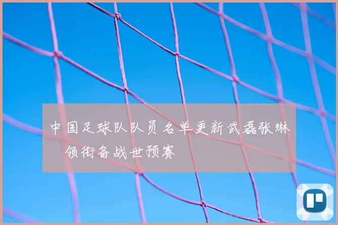 中国足球队队员名单更新武磊张琳芃领衔备战世预赛